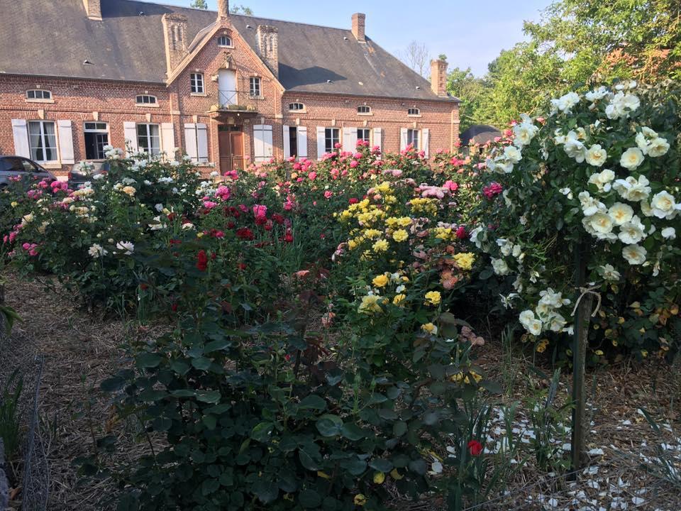 Bernay-en-PonthieuDomaine Des Celestins住宿加早餐旅馆 外观 照片